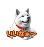 白い北海道犬のかわいい挨拶♪（個別スタンプ：14）