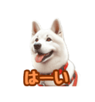 白い北海道犬のかわいい挨拶♪（個別スタンプ：16）