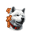 白い北海道犬のかわいい挨拶♪（個別スタンプ：18）
