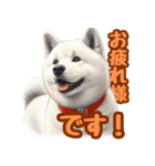 白い北海道犬のかわいい挨拶♪（個別スタンプ：22）