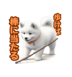 白い北海道犬のかわいい挨拶♪（個別スタンプ：23）