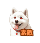白い北海道犬のかわいい挨拶♪（個別スタンプ：25）