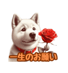 白い北海道犬のかわいい挨拶♪（個別スタンプ：27）