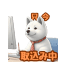白い北海道犬のかわいい挨拶♪（個別スタンプ：30）