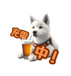 白い北海道犬のかわいい挨拶♪（個別スタンプ：31）