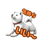白い北海道犬のかわいい挨拶♪（個別スタンプ：32）