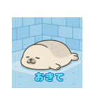 ぽっちゃりまるアザラシ（個別スタンプ：12）