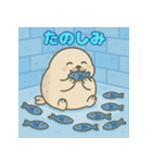 ぽっちゃりまるアザラシ（個別スタンプ：24）