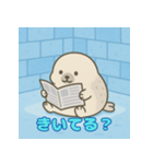 ぽっちゃりまるアザラシ（個別スタンプ：29）