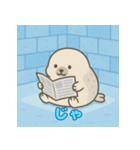 ぽっちゃりまるアザラシ（個別スタンプ：31）