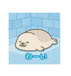 ぽっちゃりまるアザラシ（個別スタンプ：37）