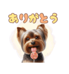 ヨークシャテリアのカラフルスタンプ（個別スタンプ：4）
