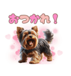 ヨークシャテリアのカラフルスタンプ（個別スタンプ：6）