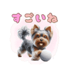 ヨークシャテリアのカラフルスタンプ（個別スタンプ：16）
