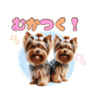 ヨークシャテリアのカラフルスタンプ（個別スタンプ：28）