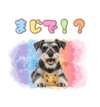 ミニチュアシュナウザーのカラフルスタンプ（個別スタンプ：17）