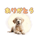 カラフルなゴールデンレトリバーの子犬（個別スタンプ：4）