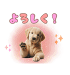 カラフルなゴールデンレトリバーの子犬（個別スタンプ：5）
