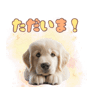 カラフルなゴールデンレトリバーの子犬（個別スタンプ：9）