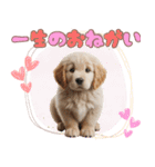 カラフルなゴールデンレトリバーの子犬（個別スタンプ：10）