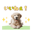 カラフルなゴールデンレトリバーの子犬（個別スタンプ：13）