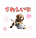 カラフルなゴールデンレトリバーの子犬（個別スタンプ：14）