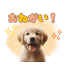 カラフルなゴールデンレトリバーの子犬（個別スタンプ：15）