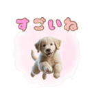 カラフルなゴールデンレトリバーの子犬（個別スタンプ：16）