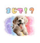 カラフルなゴールデンレトリバーの子犬（個別スタンプ：17）