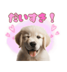 カラフルなゴールデンレトリバーの子犬（個別スタンプ：18）