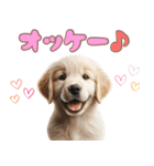カラフルなゴールデンレトリバーの子犬（個別スタンプ：19）