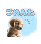 カラフルなゴールデンレトリバーの子犬（個別スタンプ：22）