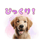 カラフルなゴールデンレトリバーの子犬（個別スタンプ：25）