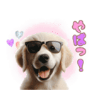 カラフルなゴールデンレトリバーの子犬（個別スタンプ：29）
