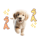 カラフルなゴールデンレトリバーの子犬（個別スタンプ：30）
