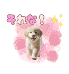 カラフルなゴールデンレトリバーの子犬（個別スタンプ：32）