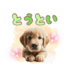 カラフルなゴールデンレトリバーの子犬（個別スタンプ：37）