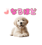 カラフルなゴールデンレトリバーの子犬（個別スタンプ：38）