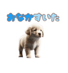カラフルなゴールデンレトリバーの子犬（個別スタンプ：39）
