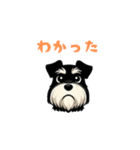 シュナウザーの返事スタンプ（個別スタンプ：30）