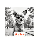 チワワたちのきもち（個別スタンプ：6）