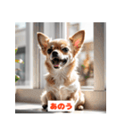 チワワたちのきもち（個別スタンプ：8）