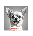 チワワたちのきもち（個別スタンプ：13）