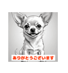 チワワたちのきもち（個別スタンプ：15）