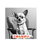 チワワたちのきもち（個別スタンプ：19）