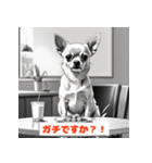 チワワたちのきもち（個別スタンプ：21）