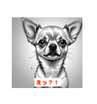 チワワたちのきもち（個別スタンプ：23）