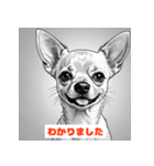 チワワたちのきもち（個別スタンプ：40）
