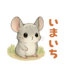 チンチラのスーさんと一緒 -春-（個別スタンプ：13）
