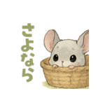 チンチラのスーさんと一緒 -春-（個別スタンプ：17）